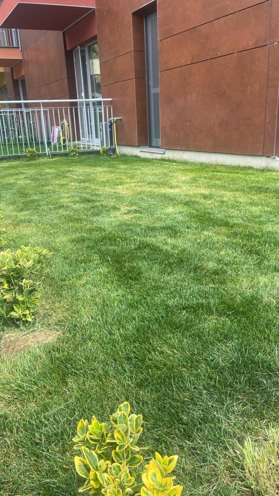 Dream Garden Apartment With Free Parking Sinaia Bagian luar foto